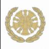 8b - Staff Fire Chief